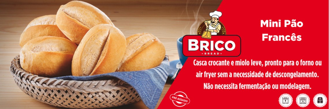 BRICO 1